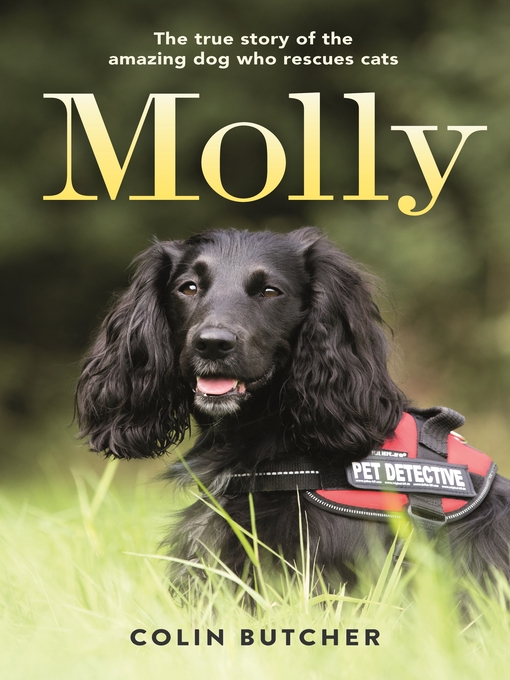 Title details for Molly by Colin Butcher - Available